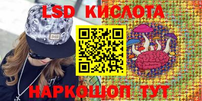 индика Заводоуковск